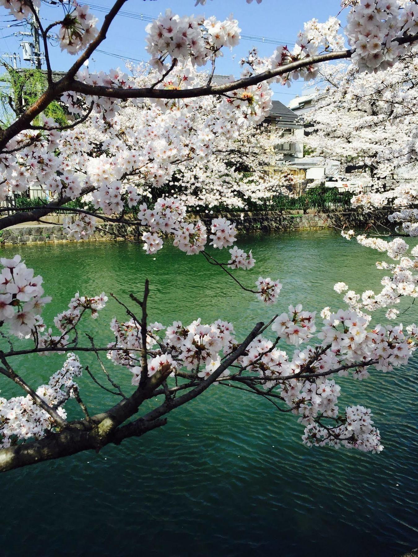 Heian Residence Gozan Kiotó Kültér fotó